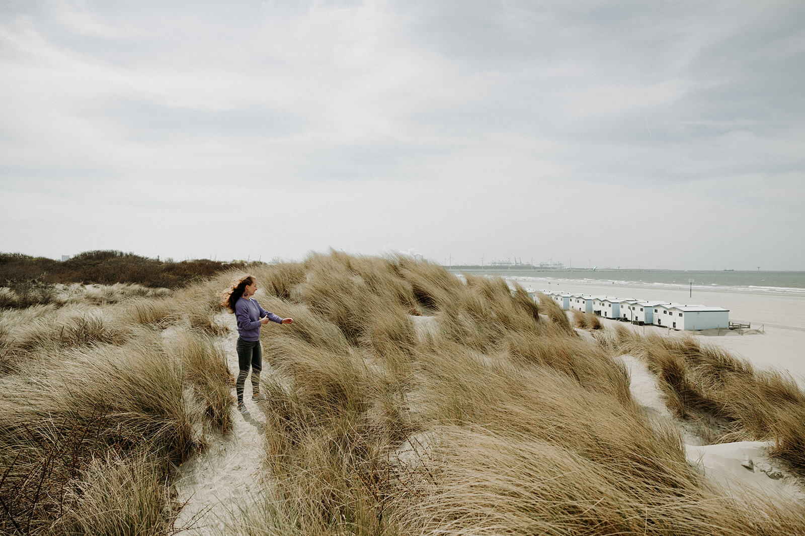 Uitzicht op duinen en zee